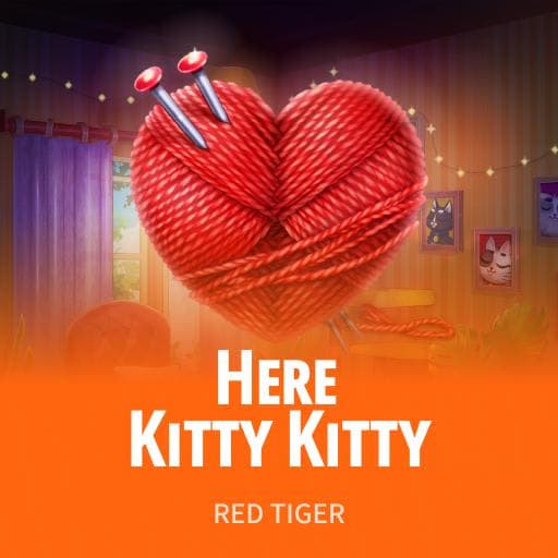 Here Kitty Kitty