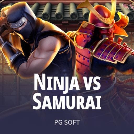 Ninja vs Samurai