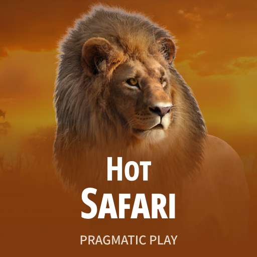 Hot Safari